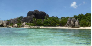 Seychellen, Meer, Anse Source d`Argent